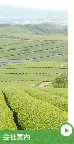 会社案内 イメージ3