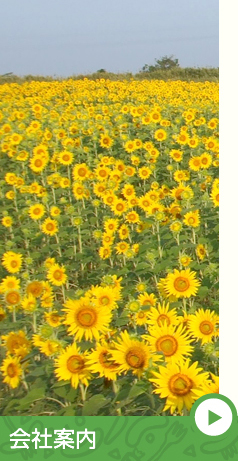 会社案内 イメージ1