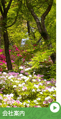 会社案内 イメージ5