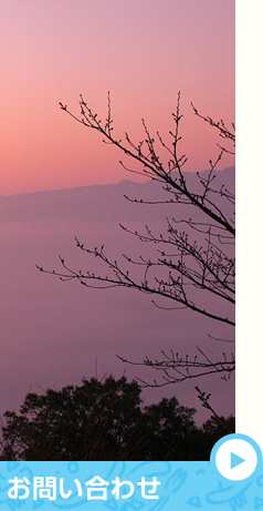 オンラインショッピング イメージ5