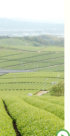 会社案内 イメージ3