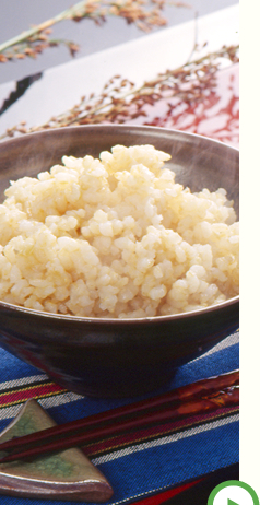 会社案内 イメージ2