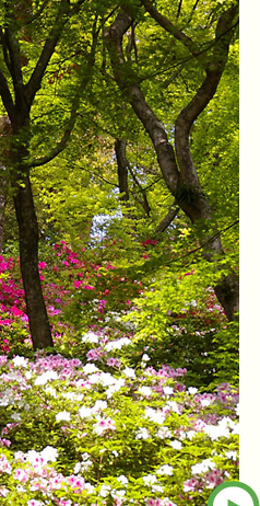 会社案内 イメージ5