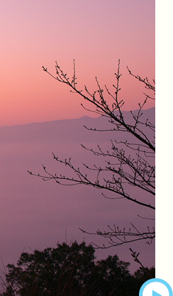 オンラインショッピング イメージ5